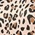 Leopardo 4